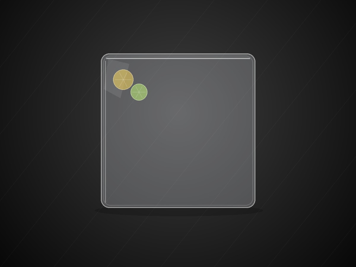 Citrus ribbons suspended in clear ice